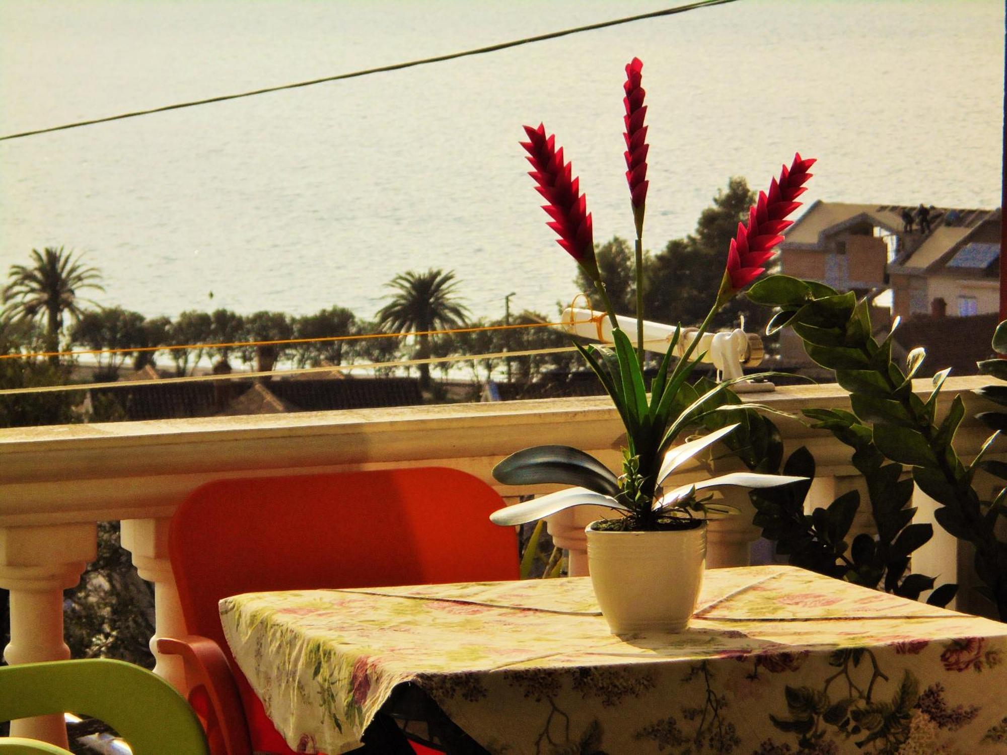 טיווט Villa Lastva Apartments מראה חיצוני תמונה